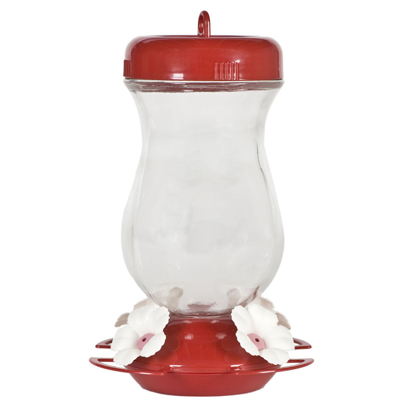 Perky Pet Top Fill Hummingbird Feeder & Reviews Wayfair
